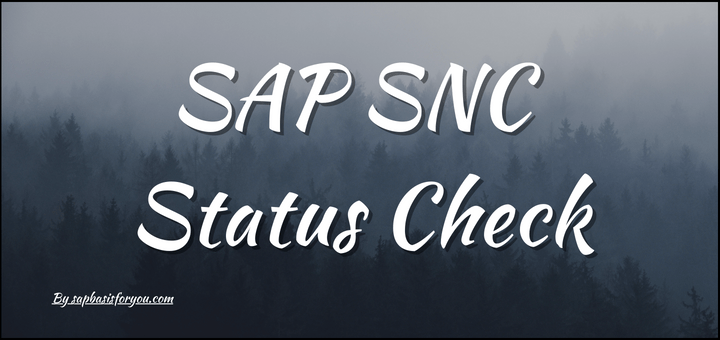 check-snc-status-in-sap-application-sap-basis-for-you